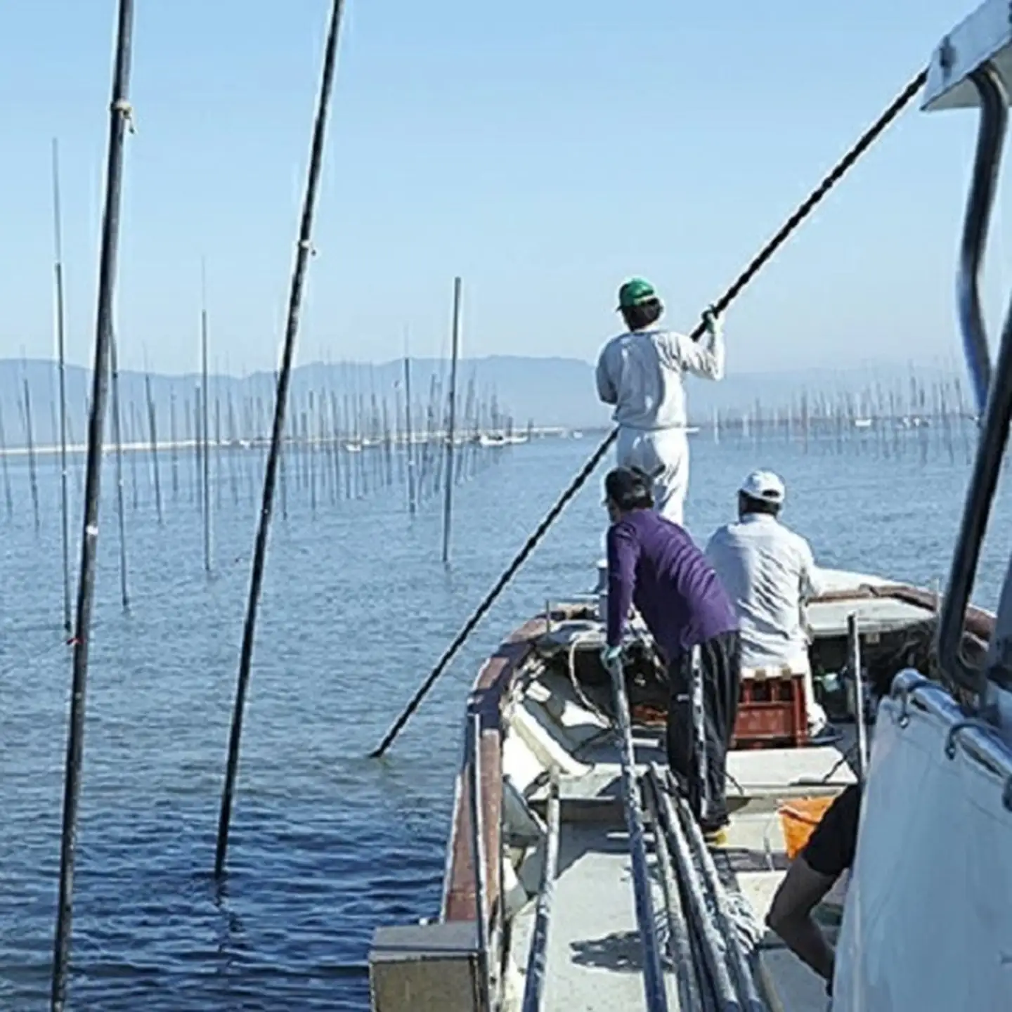【定期便（3回）1・5・9月発送】初摘み佐賀のり 焼のりセットB：B420-005
