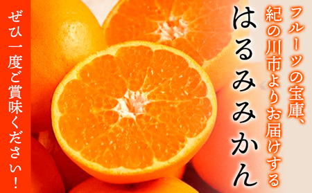大玉 ご家庭用はるみ約5kg(2L~5L サイズお任せ)