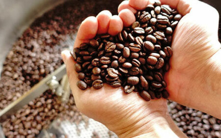 コーヒー 珈琲豆 1kg （200g×5） [ANDR002] コーヒー