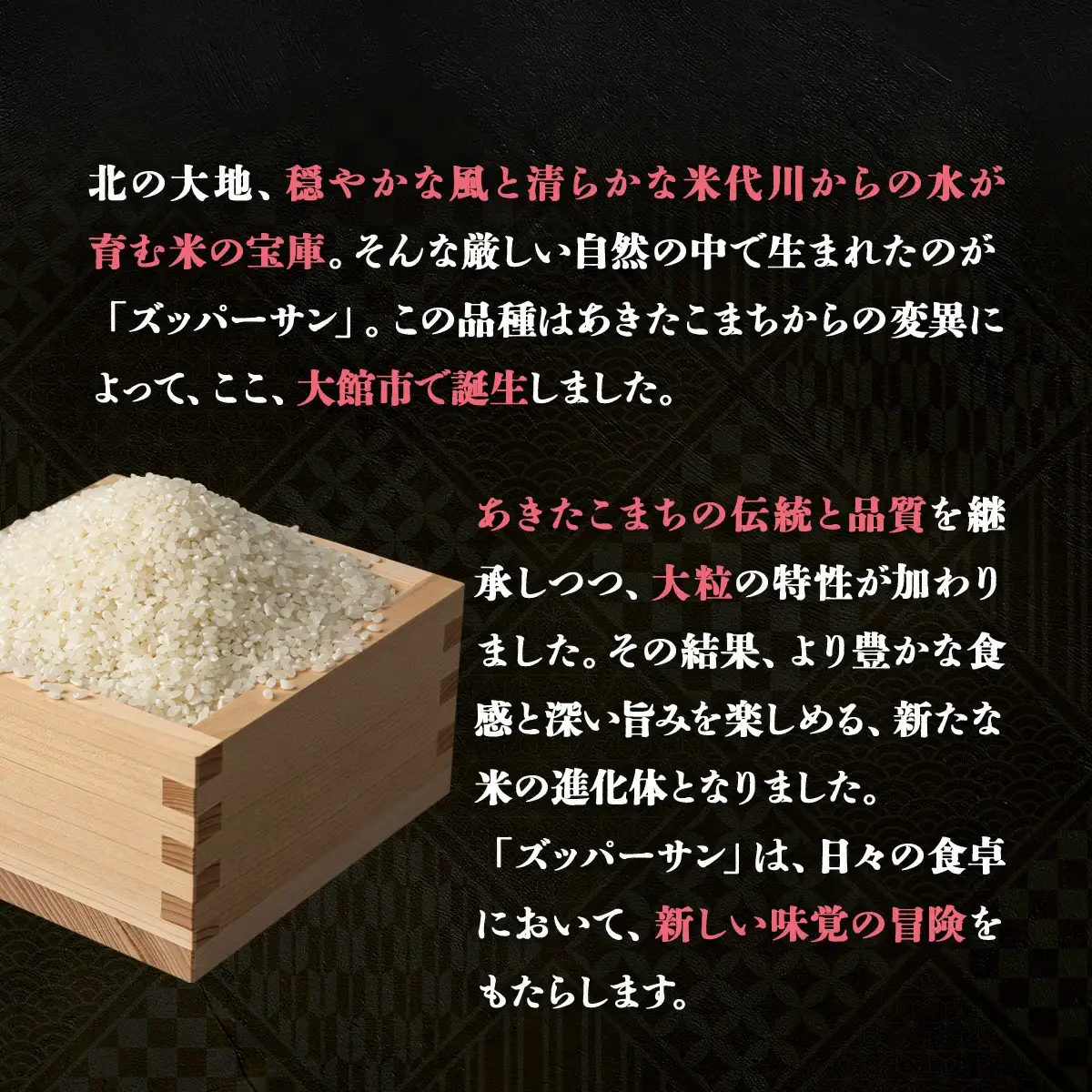 【令和7年産】ズッパーサン精米5kg（5kg×1袋）　100P9007