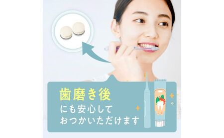 デオエール　3袋（3ヶ月分） サプリメント サプリ エチケット エチケット対策 エチケットケア キシリトール配合 乳酸菌 ゴボウパウダー 清涼感 浜松市 静岡県                                                      