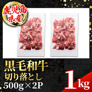 i1000 鹿児島県産 黒毛和牛 切り落とし (計1kg・500g×2パック) 国産 九州産 鹿児島産 黒毛和牛 牛肉 国産牛 切り落とし 切落し 小分け 冷凍配送 【スターゼン】