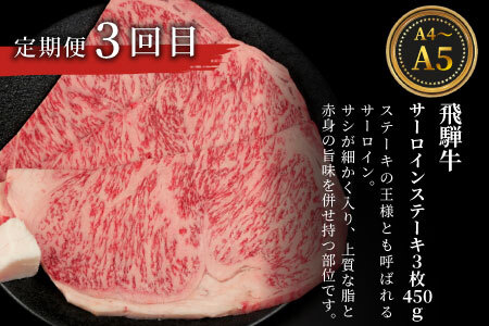 飛騨牛 ステーキ定期便 全3回 計約1.5kg A5 A4 ステーキソース リブロースステーキ ももステーキ サーロインステーキ リブロース モモ サーロイン ステーキ 牛 冷凍 和牛 牛肉 にく お肉 肉 東白川村 岐阜 飛騨 霜降り 赤身 肉のひぐち