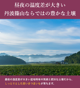 丹波ふるさと村 さつまいも 紅はるか 5kg（サイズ混合・訳あり） さつま芋 サツマイモ Q100