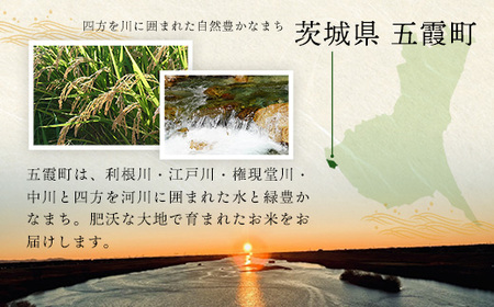 【特別栽培米】五霞町産うまい米コシヒカリ（精米）6kg ／ 令和7年産 お米 白米 こしひかり 減農薬 減化学肥料 茨城県 認証 取得 健康 環境【価格改定XB】