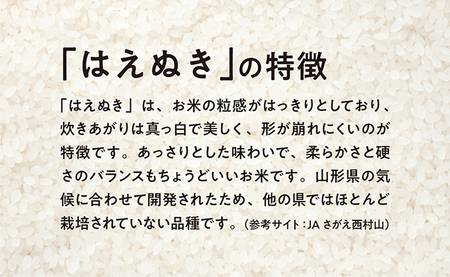 はえぬき 令和7年産 10kg （5kg×2袋） 2025年産 農家直送 精米 こめ コメ 山形県 朝日町産
