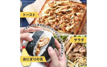 鰹ツナパウチ 100g×10袋セット 100グラム 国産 おにぎり つなまよ ツナマヨ ご飯 お弁当 魚 パスタ サラダ たんぱく質 タンパク質 おやつ かつお【企業組合　宇佐もん工房】 [BQAB065]