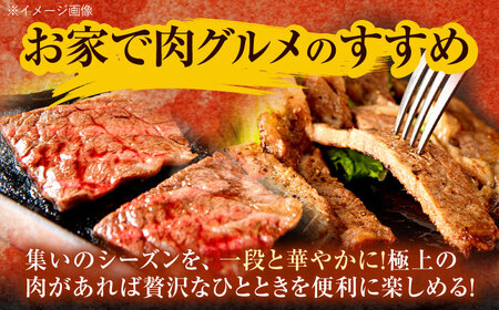 長崎和牛 ステーキ・焼肉セット 600g×2パック / 牛肉 ぎゅうにく 肉 和牛 国産牛 焼き肉 やきにく ステーキ すてーき?/ 諫早市 / 西日本フード株式会社 [AHAV008]