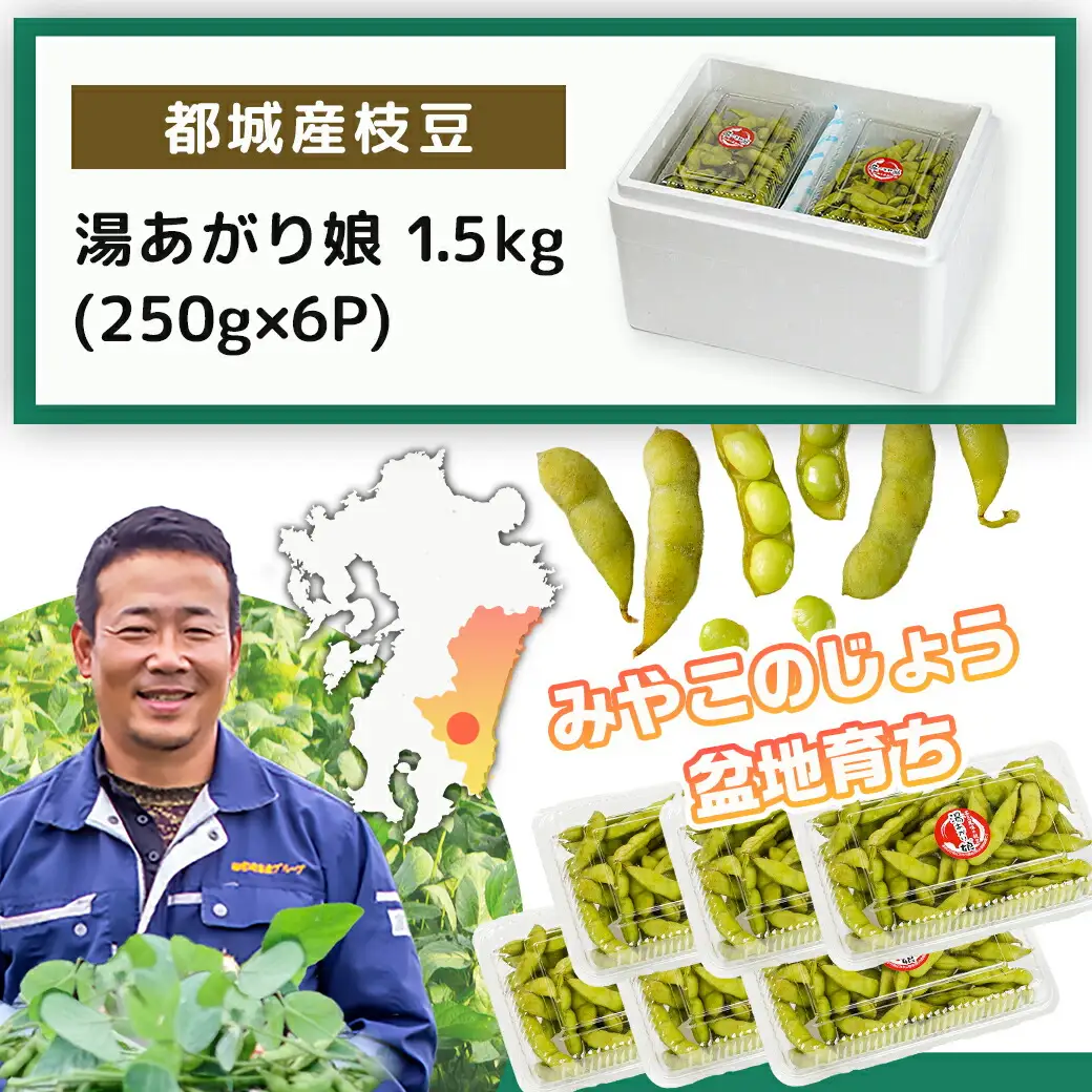 【先行受付】都城産枝豆(湯あがり娘)1.5kg(250g×6P)〔11-B402-7〕_(都城市) 都城産枝豆 湯あがり娘 1.5kg おつまみ 産地直送 先行受付