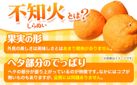 不知火 約3kg フレッシュフーズ 《2027年2月下旬-4月下旬頃出荷》熊本県産 (荒尾市産含む) 柑橘 フルーツ フレッシュフーズ 不知火 果物 デコポン と同品種 送料無料 果物 しらぬい 旬 オレンジ みかん 美味しい不知火 旬の不知火 ジューシー不知火 フルーツ不知火