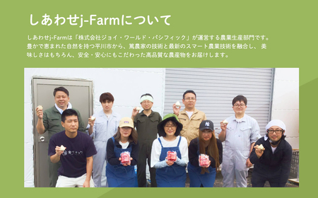 【レビューキャンペーン】わのたれ(焼き肉のたれ)170gx24本セット[hi-0028-009]