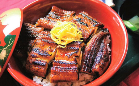 鰻のかば焼き1尾 / 大村市 / うなぎ ウナギ 鰻 蒲焼 / お料理やまうえ [ACZL002]