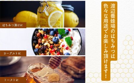 国産天然栗はちみつ スタンドボトル 500g ) | ハチミツ 蜂蜜【株式会社渡辺養蜂場】