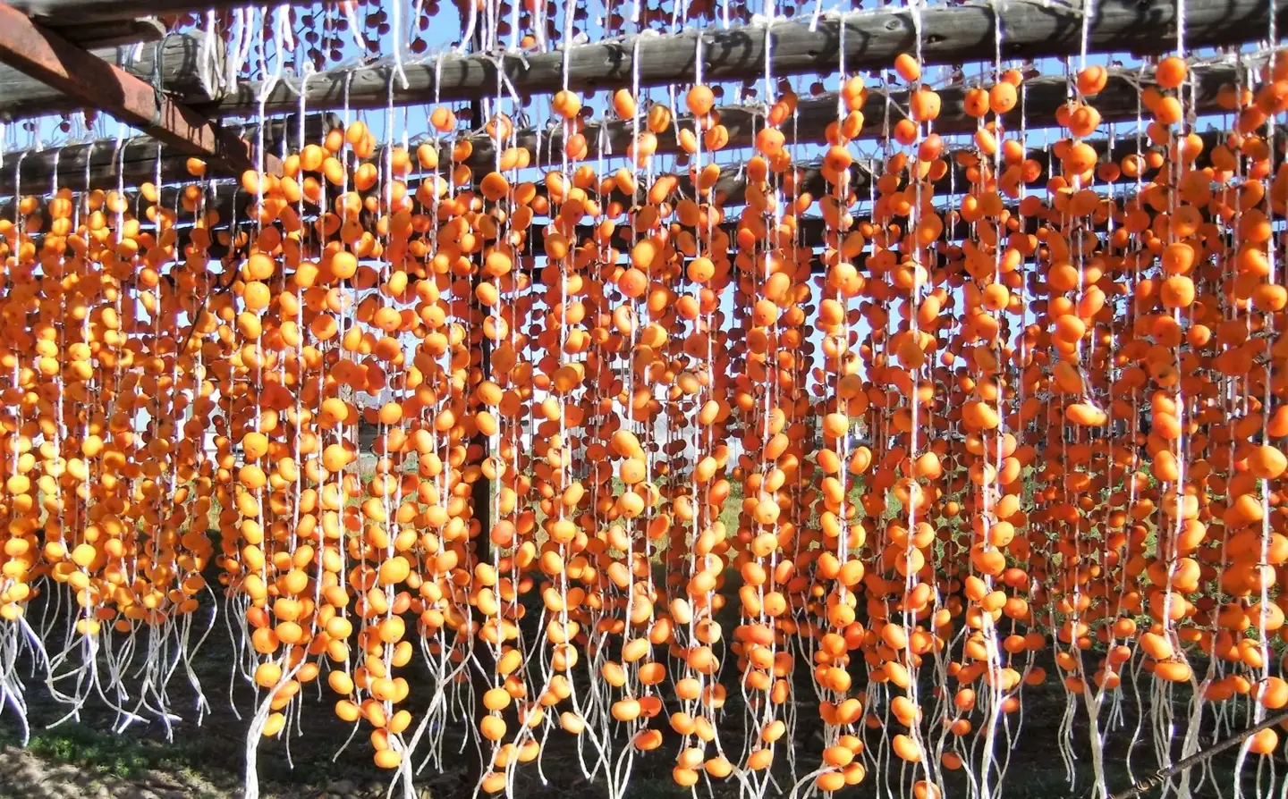 紅干し柿　２００ｇ×２パック　　0112-2620