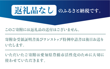 返礼品無しの寄附 500000円     返礼品無し 