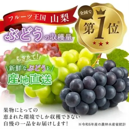 【2026年発送】やみつきシャインマスカット 500g以上(1房)【配送不可地域：離島】【1551175】