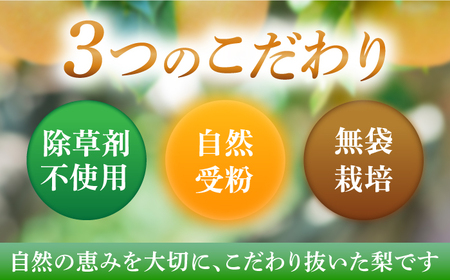 【2026年先行予約】梨（豊水）3kg箱[ECO002]梨 ほうすい