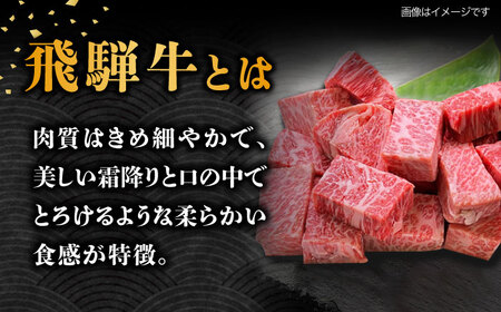 【6回定期便】 【飛騨牛】A5等級 サイコロステーキ 部位おまかせ 500g [TAZ040]サイコロステーキ