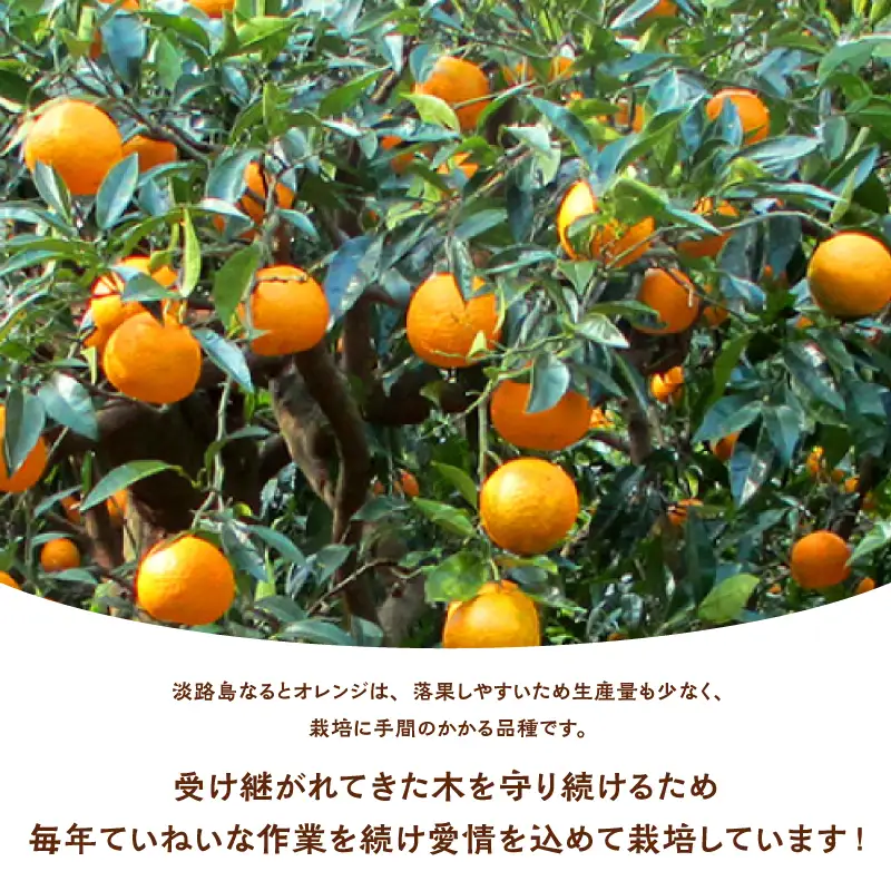 【数量限定】 淡路島産なるとオレンジジュース2本セット 