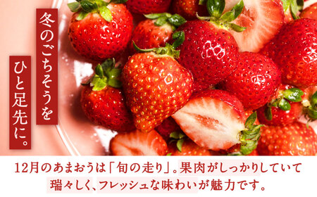 福岡県産特産品 うまもぐ厳選果物 福岡県産 博多あまおう DX上級品 約500g（約250g×2パック入り）【2026年12月発送】あまおう いちご 苺 イチゴ 果物 フルーツ