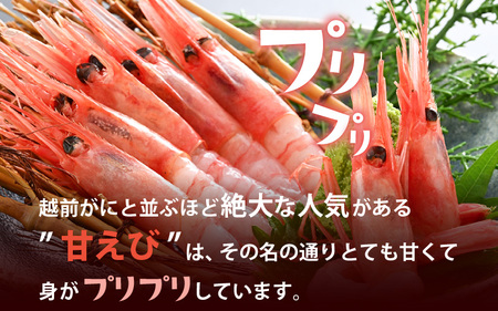 旬子持ち甘えび 小分け 約500g【12尾前後 × 3袋】中サイズ 鮮度格別 獲れたてを液体凍結 甘エビ 海老 お刺身 [m36-a014]