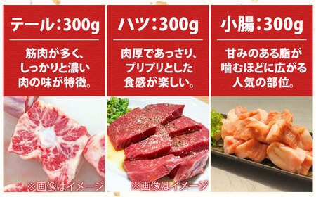 佐賀牛6種食べ比べ！ ホルモンバラエティセット 1.8kg 4-5人前 盛り合わせ タン・小腸など 吉野ヶ里町/やきとり紋次郎[FCJ090]
