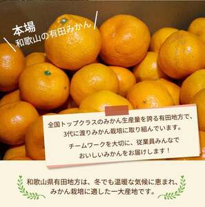 こだわりの完熟 有田みかん 6kg ＋150g(傷み補償分)｜ みかん
