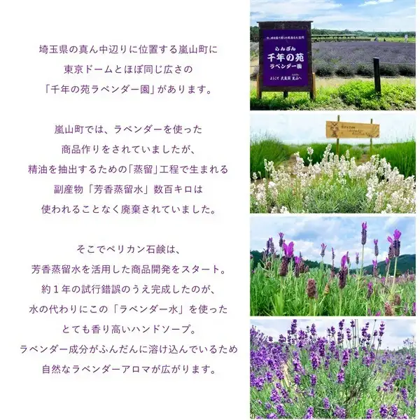【ペリカン石鹸】ピーズルーツ ラベンダーハンドソープ 3本　【11218-0823】