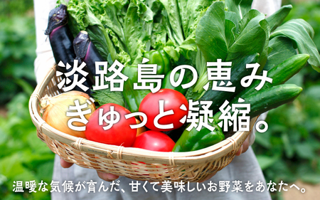 淡路島の加工品付き旬の野菜セット
