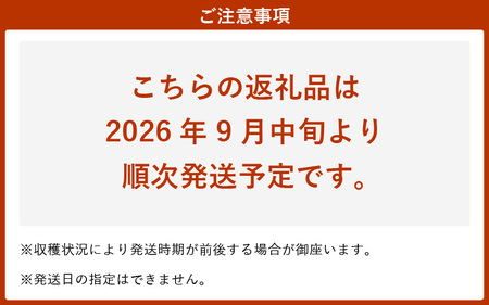 【2026年9月中旬発送】ぶどう ハチミツのようなとろける甘み 「ブラックオリンピア」葡萄 1.0kg以上（2～3房） [e36-a007]