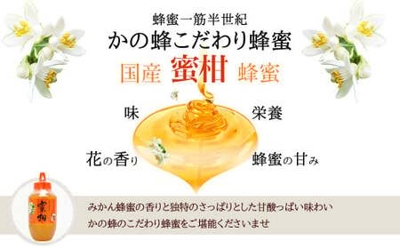 はちみつ 専門店【かの蜂】 国産 みかん 蜂蜜 1000g（1kg） 完熟の純粋蜂蜜 （とんがり容器） 蜂蜜 純粋 はちみつ ブレンド蜂蜜 国産