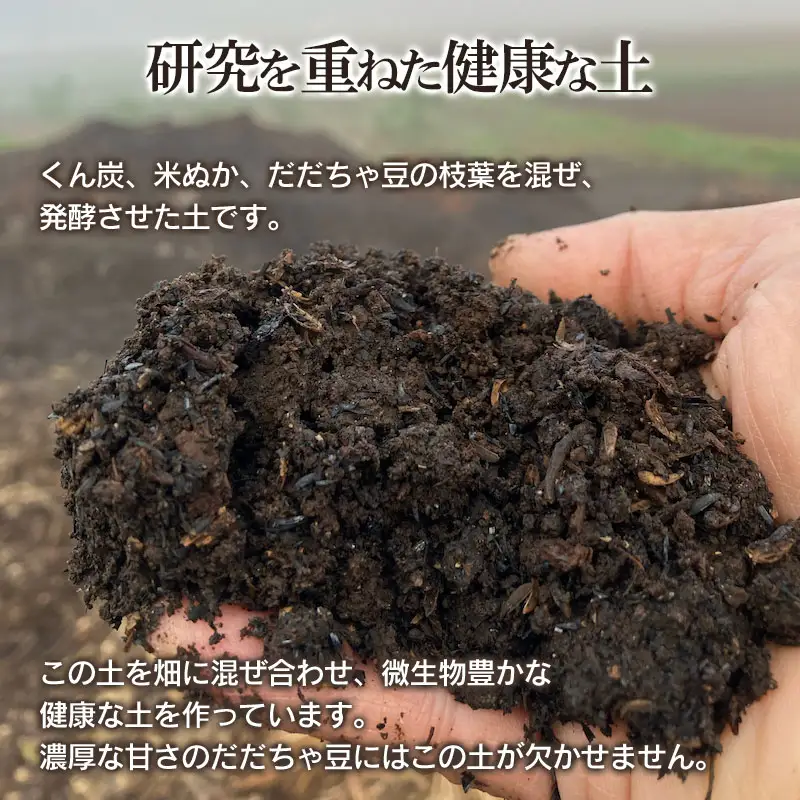 【令和8年産先行予約】富樫農園の朝採りだだちゃ豆【8月上旬発送】500g 早生甘露・甘露　K-812