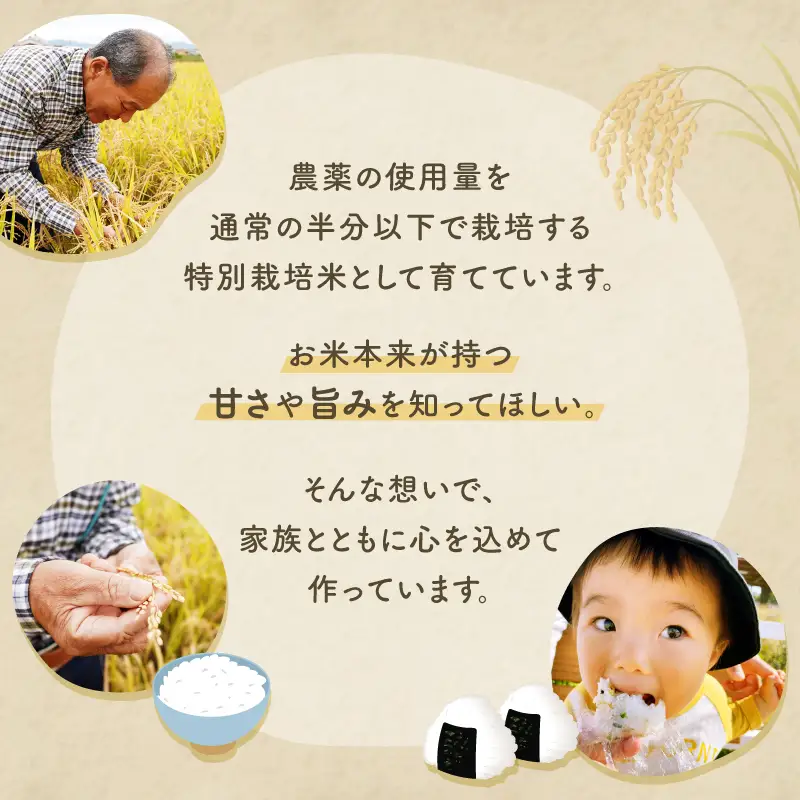 【3回定期便】減農薬 特別栽培米 畑中さん ひのひかり 玄米 5kg ヒノヒカリ 奈良県