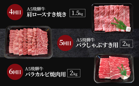 飛騨牛 A5 大満足 飛騨牛三昧  6か月 定期便 ステーキ すき焼き 焼肉