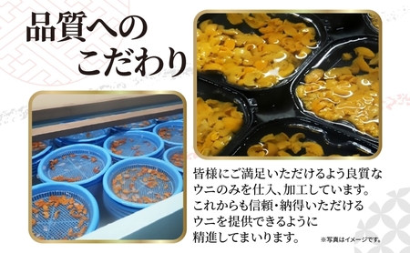北海道産 バフンウニ 塩水パック 100g×1 雲丹 ウニ うに 新鮮 海産物 冷蔵 濃厚 甘い 国産