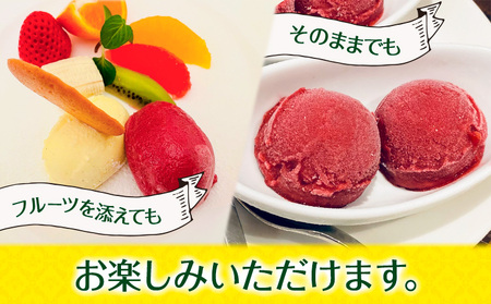 Fruits rouges (フリュイ ルージュ) オーガニックブルーベリー と 赤い果実 の ミックス シャーベット120ml × 12個 