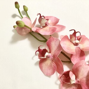 胡蝶蘭 観葉植物 人工 花 【草月流師範免許取得者所属】＼花一凛オリジナルデザイン／『選べるカラー』 光触媒 Artis Phalaeno アーティスファレノ 神奈川 相模原 アトリエ 花一凛 ※北海道・沖縄・離島への配送不可