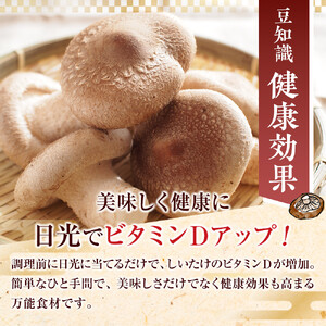 徳島県産 生しいたけ  1箱(12個～16個）