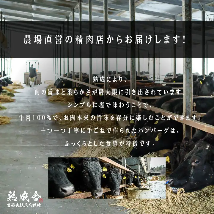 熟成牛 手ごねハンバーグ 3kg（150g×20袋）ハンバーグ 国産 牛肉 