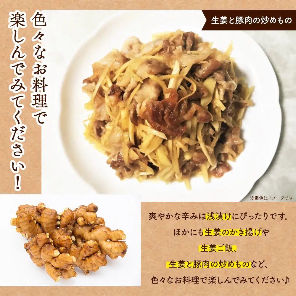 生姜 2kg【生姜 生姜 生姜 生姜 生姜】 bc-0014