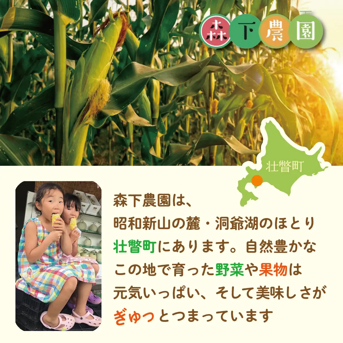 ＜2026年8月上旬よりお届け＞北海道壮瞥産 とうもろこし（スイートコーン）13本 約5kg SBTN001