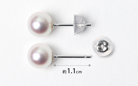 【14営業日以内に発送】花珠 あこや真珠 7.5-8.0mm 鑑定書付 ピアス K14WG パール ／ アコヤ真珠 真珠 アクセサリー ジュエリー 長崎県 長崎市