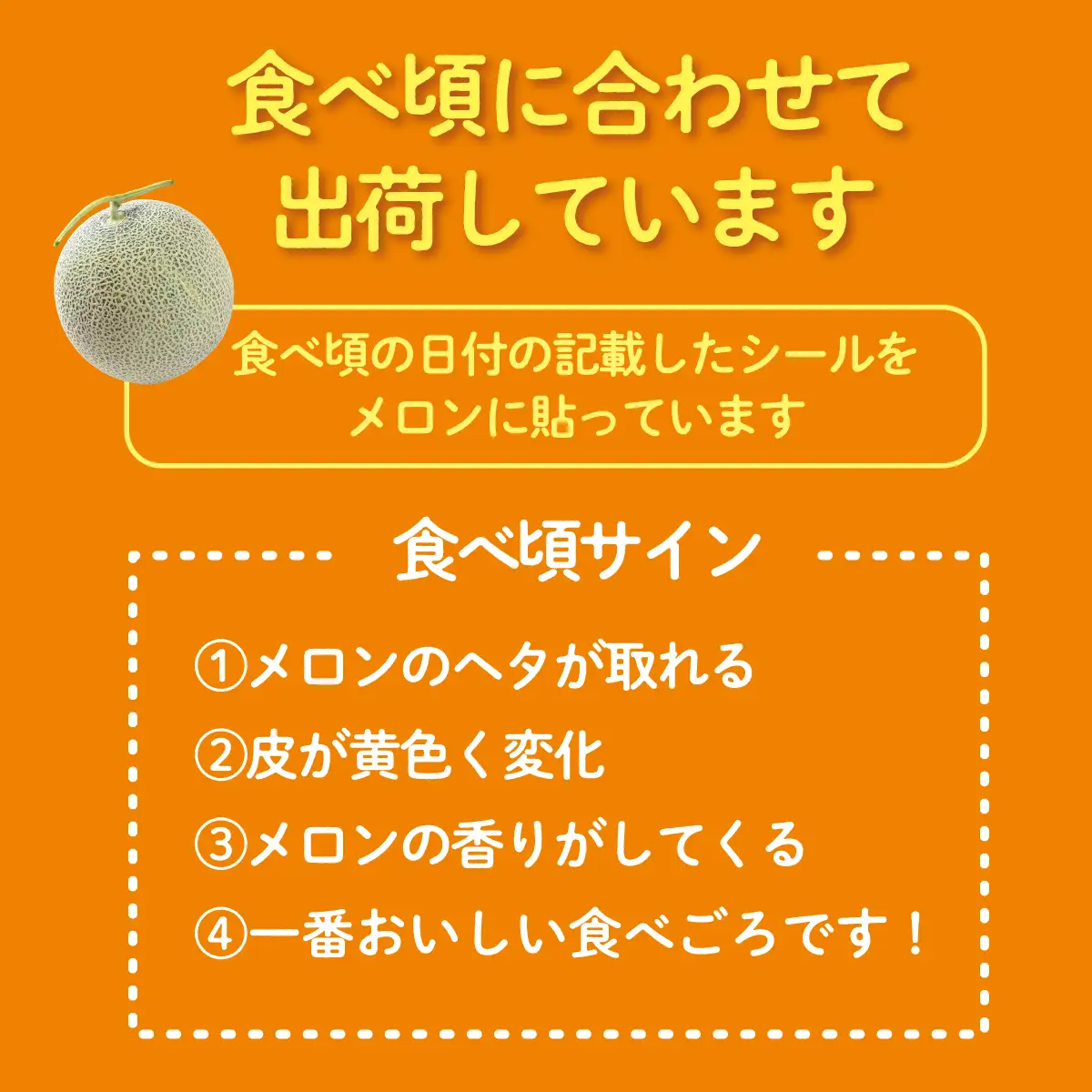 ＜2026年7月下旬よりお届け＞北海道壮瞥産 赤肉メロン（ニューキングメロン）2玉 約3kg SBTN003