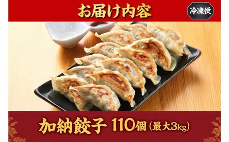 【数量限定】訳あり 餃子 冷凍生餃子 110個 生餃子 冷凍餃子 ギョーザ おかず 総菜 おつまみ つまみ ごはんのお供 中華 家庭用 お取り寄せ まとめ買い 大容量 冷凍食品 焼き餃子 冷凍 神奈川 神奈川県 茅ヶ崎市