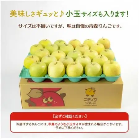【26年11月から順次発送】平均糖度13度以上! 王林 約10kg 訳あり 青森県産 りんご_果物・フルーツ りんご  リンゴ 林檎_【配送不可地域：離島・沖縄県】【1521333】
