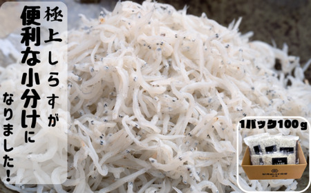 冷凍釜揚げしらす1kg（100g×10パック） / シラス 厳選 小分け 冷凍便 大容量 お米のおとも【dig003A】