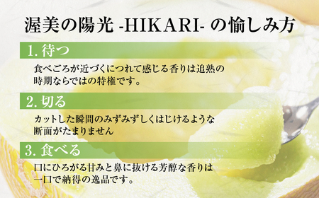 2026年先行予約極上メロン 渥美の陽光-HIKARI-　2玉 メロン