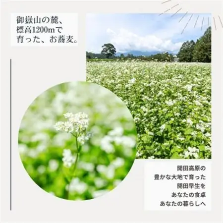【開田高原】在来品種の開田早生を使用した「かいだそば」5セット希少価値高め!【配送不可地域：離島】【1456399】