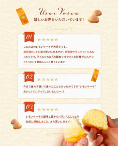 レモンケーキ ギフトbox 10個入り　BJ003