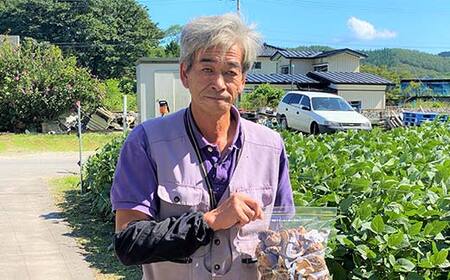 乾燥 椎茸 120g（ミックスサイズ）岩手県 山田町 三陸山田 岩手三陸産 椎茸 乾燥しいたけ しいたけ 乾燥シイタケ シイタケ 乾しいたけ 原木 野菜 きのこ YD-716